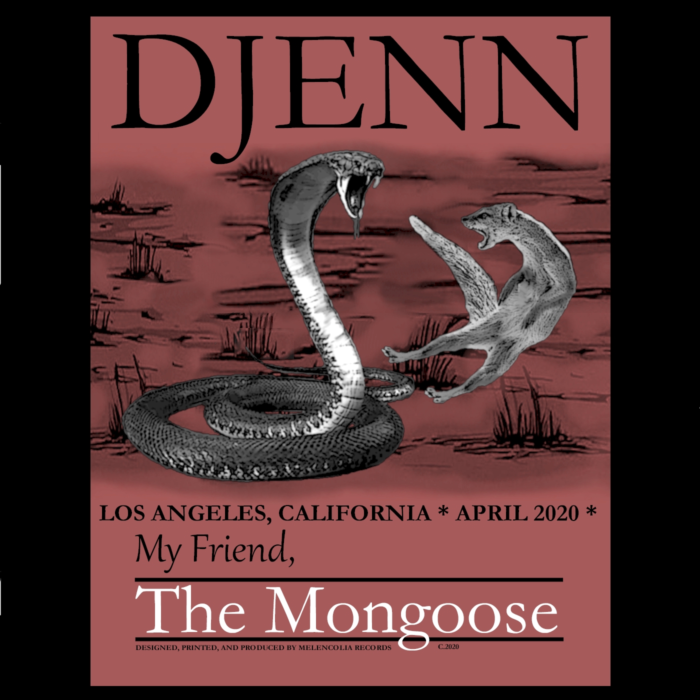 My Friend, The Mongoose